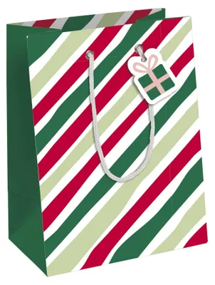 Produktbild von Clairefontaine X-30882-3C, Geschenkverpackungstasche, Muster, 210 g/m², 215 mm, 102 mm, 253 mm