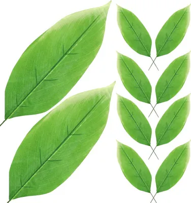 Produktbild von Dekolo Künstliche Pflanzen Kunstpflanzen Grünpflanzen Blätter für den Blumenstrauß