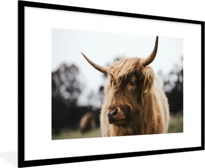 Produktbild von MuchoWow® Gerahmtes Poster Schottischer Highlander - Tiere - Hörner 90x60 cm - Poster mit Schwarzem Bilderrahmen Wandposter Rahmen Foto Bilder - Wanddekoration - Fotos