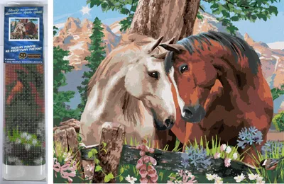 Immagine prodotto di Norimpex Diamante Pittura Cavallo Armonia 30x40cm
