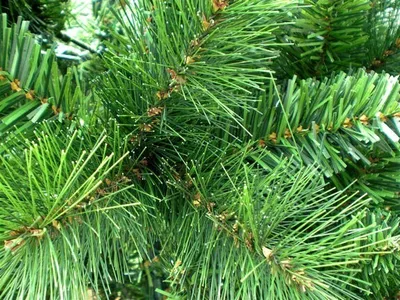 Produktbild von HXT 1101 120 cm künstlicher Weihnachtsbaum
