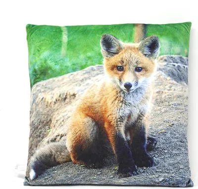 Produktbild von Dekokissen mit Fuchs-Motiv, beidseitig bedruckt, 35 x 35 cm, 100% Polyester