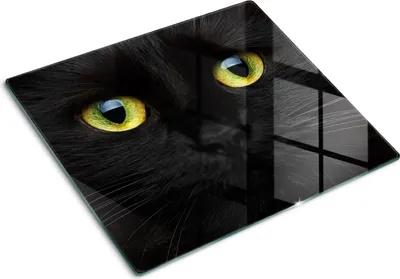 Imagen del producto de Cubierta para placa de cocina – Cubierta para placa de inducción – Placa de vidrio protectora – 60x52 cm – Placas de vidrio protectoras para cocina – Vidrio templado – Protectores antihuellas