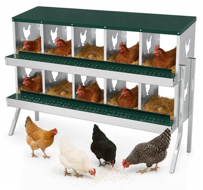 Image de Nid pour poules Ikodm, modèle à 10 compartiments, en métal, à deux étages, pour fixation murale, idéal pour poulailler et élevage de volailles