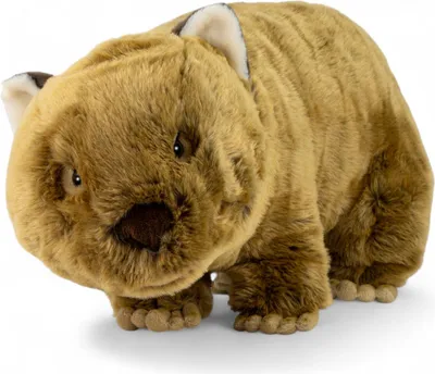 Produktbild von Carl Dick Wombat ca. 60cm, Plüschtier, Stofftier, Kuscheltier 3749