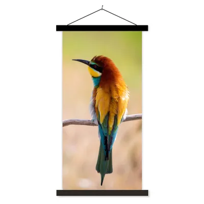 Produktbild von MuchoWow® Textilposter Vögel - Bienenfresser - Tiere 60x120 cm mit schwarzem Rahmen - Magnete