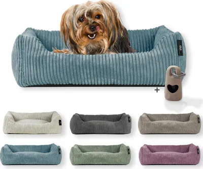 Produktbild von Rohrschneider Hundebett waschbar für kleine und mittelgroße Hunde mit Hundekissen Cord  inkl. Gassibeutel, Farbe:türkis 55cm, Muster:Cordstoff breit