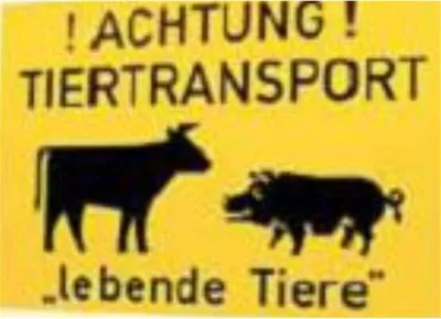 Produktbild von Tiertransporterschild 500x310mm