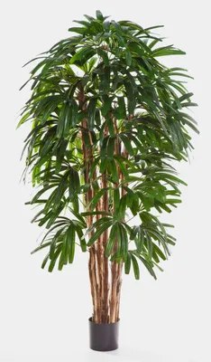 Produktbild von artplants.de Künstliche Steckenpalme, 180cm - naturgetreue Kunstpalme - Künstliche Palme