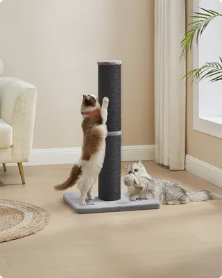 Produktbild von Feandrea Kratzbaum, Kratzstamm für mittelgroße und große Katzen, mit Plüschball