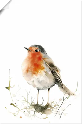 Produktbild von ARTland Poster Aquarell Rotkehlchen Größe: 40x60 cm