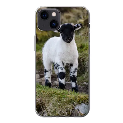 Produktbild von MuchoWow® Handyhülle Schutzhülle Hülle für iPhone 13 Lamm - Schwarz - Weiß - Tupfen Silikon Softcase Handy Hülle - Karteninhaber