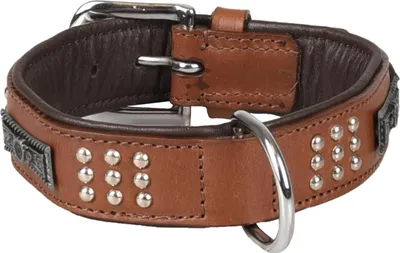 Produktbild von Flamingo Halsband Sedona Leder mit Nieten braun, Maße: 31-35 cm / 33 mm