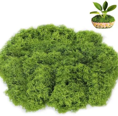 Obrázok produktu pre Umelé machy 150 g, zelené, na dekoráciu a výzdobu stien