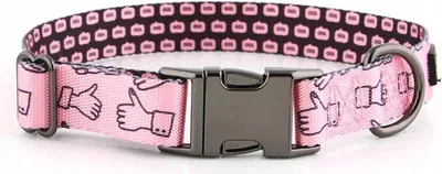 Produktbild von Hundehalsband mit Namen und Nummer für einen kleinen Hund, bunt HUGGY DOGGY S