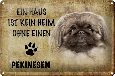 Produktbild von Blechschild Spruch 30x20cm Pekinesen Hund ohne kein Heim