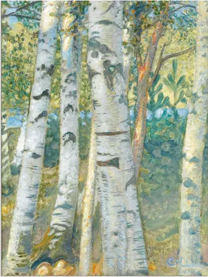 Produktbild von ARTland Wandbild Alu für Innen & Outdoor Birkenstämme. 1910 Größe: 30x40 cm