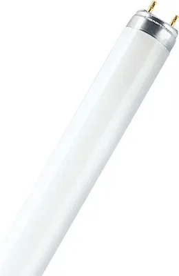 Obrázok produktu pre Osram L 32 W/830 ES, 32 W, G13, T8, 15000 h, 2650 lm, Teplá biela