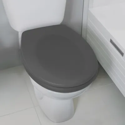Zdjęcie produktu dla Deska sedesowa NEELA MATT szara