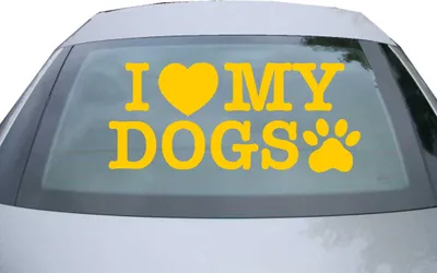 Produktbild von Indigos UG - Aufkleber Heckscheibe & Motorklappe DE2335 - gold - 600x285 mm - I love my dogs - Auto Scheiben Fenster Heckklappe Tuning Racing JDM - Die cut