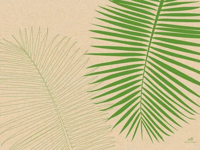 Immagine prodotto di Tovagliette di carta Duni Leaf 30x40cm 250 pezzi 1 confezione