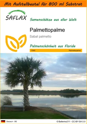 Produktbild von SAFLAX - Garden in the Bag - Palmettopalme - 8 Samen - Mit Anzuchtsubstrat im praktischen, selbst aufstellenden Beutel - Sabal palmetto