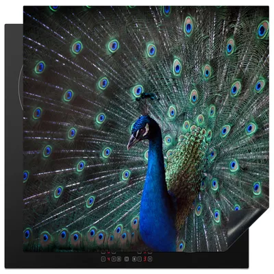 Produktbild von KitchenYeah© Herdabdeckplatte Pfau - Federn - Farben , 78x78cm, Küche Deko, Glaskeramikkochfeld Herdabdeckung, Abdeckplatte fùr Kochfeld