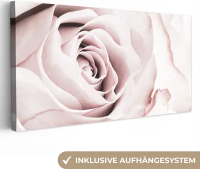 Produktbild von MuchoWow® - Leinwandbilder - Blumen - Rose - Rosa - Botanisch, Wandbild, Wanddeko Bilder Wohnzimmer, 80x40 cm