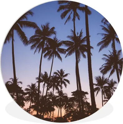 Produktbild von MuchoWow® Rundes Wandbild - Runde Bilder Palme - Tropisch - Sommer - Himmel Ø 60 cm Kreis Wanddekoration Kunststoff - Wandkreis - Wandschmuck - Wand Kreis - Das Schlafzimmer - Die Bilder - Wandmalerei - Kunst für das Haus - das Plastik