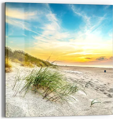 Produktbild von DEQORI Glasbild Echtglas 50x50 cm 'Baltischer Dünenstrand' Wandbild Bild modern Deko