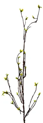 Image de Clayre & Eef Plante artificielle 116 cm Vert Plastique