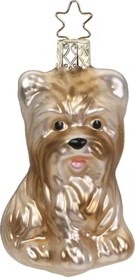 Produktbild von Christbaumschmuck Hund Yorkshire Terrier Glas 7.5cm braun, 1 Stück