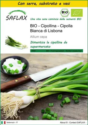 Immagine prodotto di SAFLAX Insieme di coltivazione -- Cipollina - Cipolla Bianca di Lisbona  - 150 semi - Allium