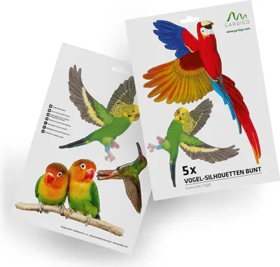 Produktbild von Gardigo Vogelsilhouetten exotische Vögel Vogelabwehr Wintergarten Vogelaufkleber
