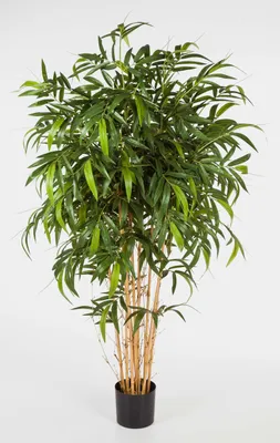 Produktbild von artplants.de Kunstbaum Bambus Katsumi, Naturstämme, 210 cm - Kunstbambus