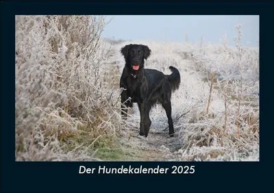 Produktbild von Der Hundekalender 2025 Fotokalender DIN A5