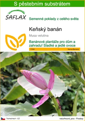 Obrázek produktu pro SAFLAX - Keňský banán - Musa velutina - 8 Semena - S pěstebním substrátem bez klíčků