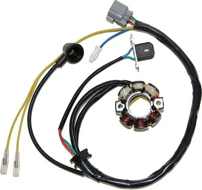 Zdjęcie produktu dla Elektrosport Generator Światła (Stator) Z Oświetleniem Do Kawasaki Kxf 250 (04), Suzuki Rmz 250 (04) (Z Pulserem) (50 W)