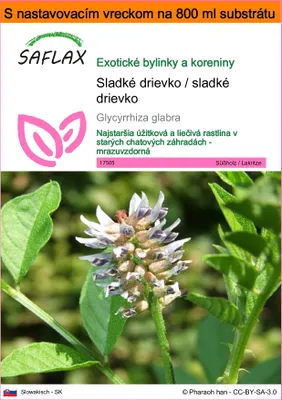 Obrázok produktu pre SAFLAX Garden in the bag - Sladké drievko / sladké drievko - Glycyrrhiza glabra - 30 Semená - S pestovateľským substrátom v praktickom samostaviteľnom vrecku