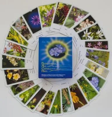 Image de Cartes des fleurs de Bach. Les cartes des fleurs comme opportunité et aide