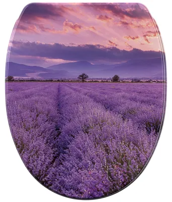 Immagine prodotto di Sedile per WC SANILO® con chiusura ammortizzata e sgancio rapido color lavanda, coperchio per WC direttamente dal produttore, sedile per WC, sedile per WC, coperchio per WC, sedile per WC