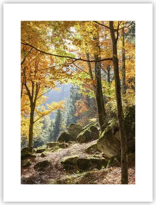 Produktbild von Poster - Poster ohne Rahmen - Herbst berg wald natur - 30x40 cm - Wand Bild - Wanddeko - Wandbilder - Kunstposter - Wandposter - Bilder - Kunstdruck - Wanddekoration - Wandbild - P2XPA30x40-2713