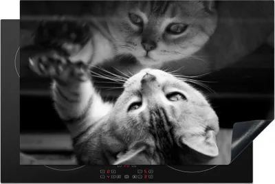 Produktbild von KitchenYeah© Herdabdeckplatte Katze schaut auf ihr Spiegelbild , 81x52cm, Küche Deko, Glaskeramikkochfeld Herdabdeckung, Abdeckplatte fùr Kochfeld