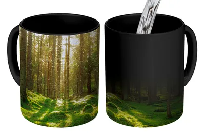 Obrázok produktu pre MuchoWow® Magický pohár Stromy - Les - Mach - Rastliny - Slnko - Príroda 350 ml Pohár na zmenu farby Darček Nápad na darček - Foto hrnček