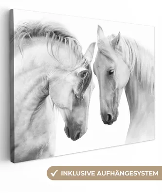 Produktbild von MuchoWow® - Leinwandbilder - Pferd - Tiere - Porträt - Weiß, Wandbild, Wanddeko Bilder Wohnzimmer, 120x90 cm