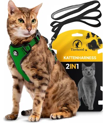 Image de Harnais pour chat - Avec laisse - Taille M (28-33 cm) - Vert