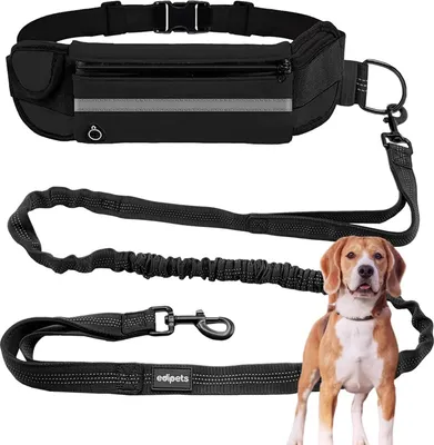 Produktbild von Edipets, Joggingleine Hunde, Freihändig, Laufen, Wandern, Gurtband, Anti-Stress, Reflektierend, 160-220 cm (Schwarz)