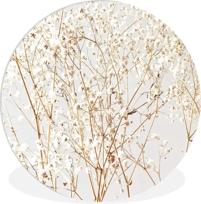Produktbild von MuchoWow® Rundes Wandbild - Runde Bilder Natur - Äste - Blumen Ø 90 cm Kreis Wanddekoration Kunststoff - Wandkreis - Wandschmuck - Wand-Kreis - Wohnzimmer - Bild - Runde - Wanddeko - Dibond - Kunstdrucke