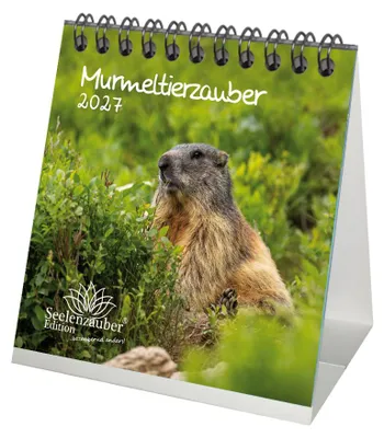 Produktbild von Murmeltierzauber Tischkalender 10x10cm für 2027 Murmeltier - Seelenzauber