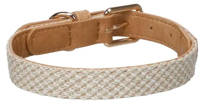 Image de Chien Collier Lara Beige